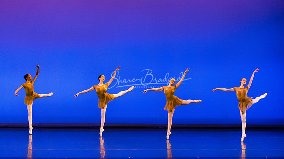 BNT Petit Symphonie pc Sharen Bradford-0203