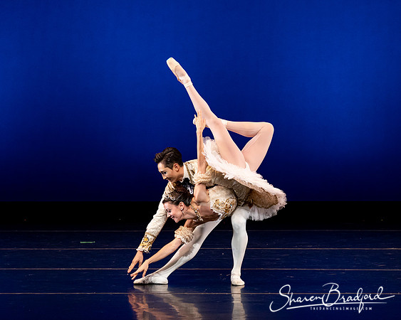 Texas Ballet Theater pc Sharen Bradford-1222