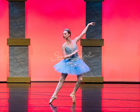 Ballet NTX Sleeping Beauty pc Sharen Bradford-0122