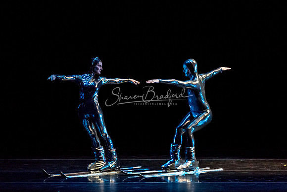 Millennium Skiva pc Sharen Bradford-8496