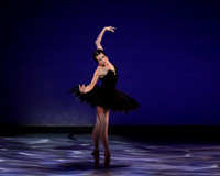 Olga Pavlova_The Dying Swan-3856