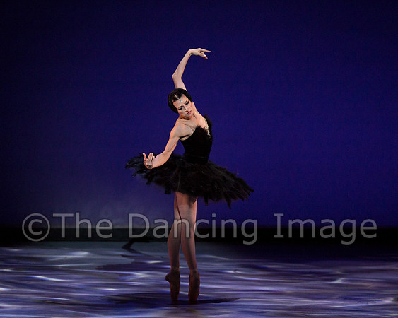 Olga Pavlova_The Dying Swan-3856