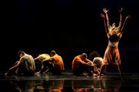 Fe do Sertao-1629