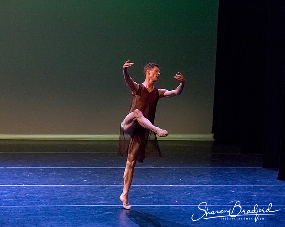 Ballet Dallas Seasons pc Sharen Bradford-1573