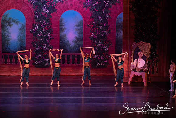 TDC La Bayadere pc Sharen Bradford-2722