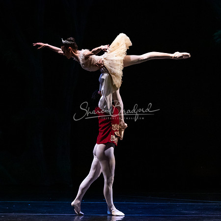 Ballet NTX Sleeping Beauty pc Sharen Bradford-1245