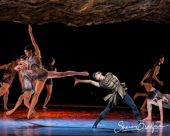 Beijing Dance Theater pc Sharen Bradford-0470