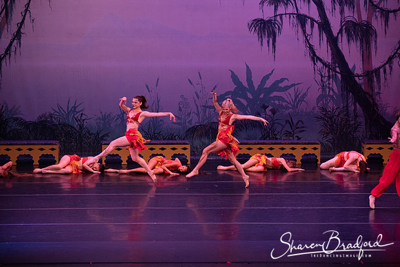 TDC La Bayadere pc Sharen Bradford-2999