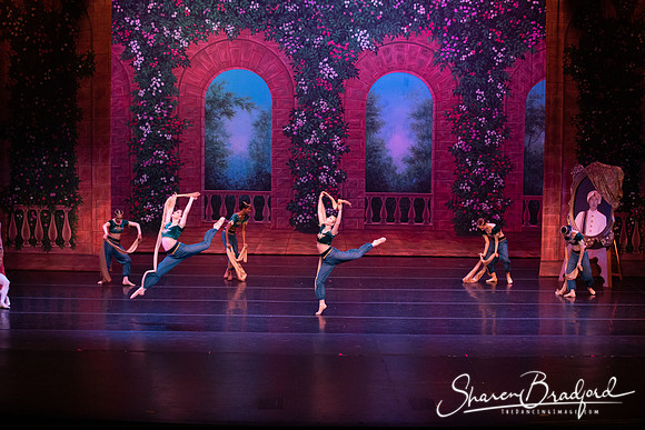 TDC La Bayadere pc Sharen Bradford-2772