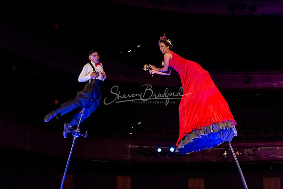 Swoon pc Sharen Bradford-8762