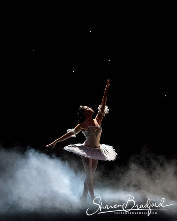 ASFB Nutcracker pc Sharen Bradford-0011