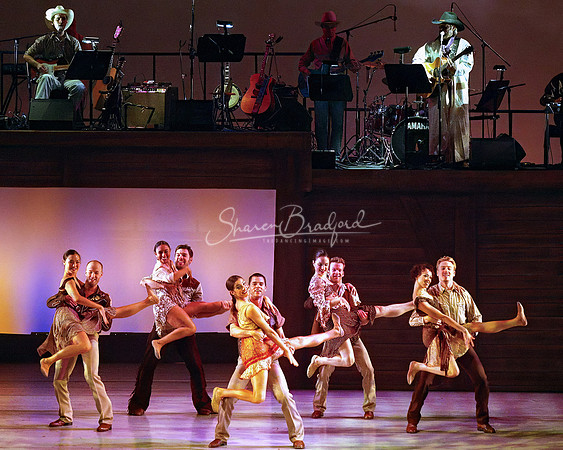 BWDC Cowboy Songs 2003 322 pc Sharen Bradford