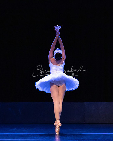 Dying Swan pc Sharen Bradford-1246