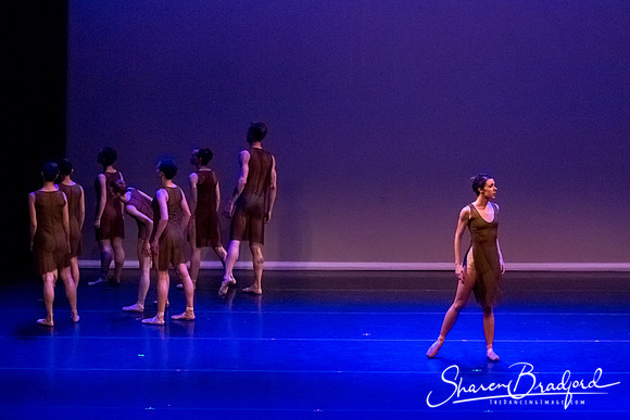 Ballet Dallas Seasons pc Sharen Bradford-1547