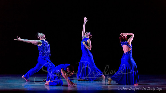 Following Echoes - pc Sharen Bradford-0820