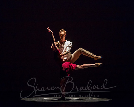 Falling Light pc Sharen Bradford-0558