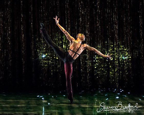 Stardust-pc Sharen Bradford-1625