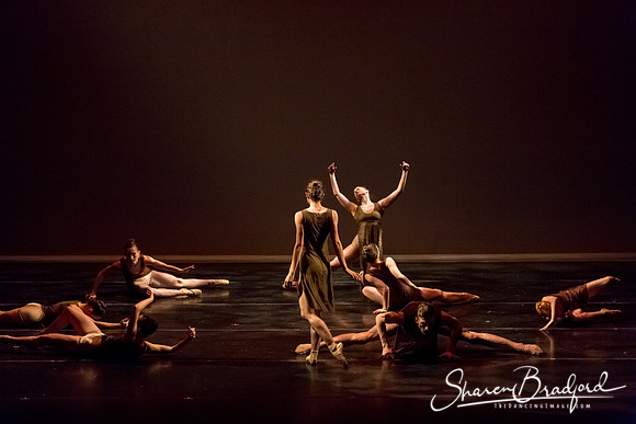 Ballet Dallas Seasons pc Sharen Bradford-1406