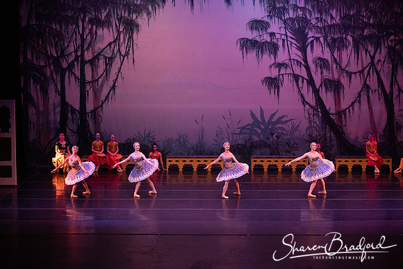 TDC La Bayadere pc Sharen Bradford-3228