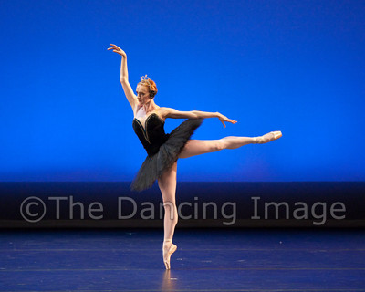 Black Swan-1161