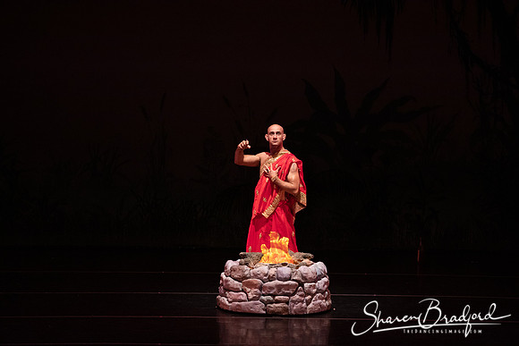 TDC La Bayadere pc Sharen Bradford-2653
