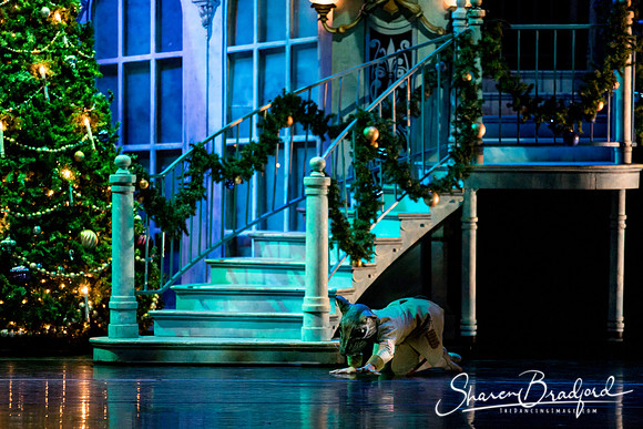 Nutcracker matinee pc Sharen Bradford-4656