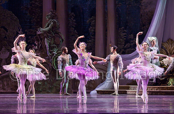 TB Sleeping Beauty Wed.-0100