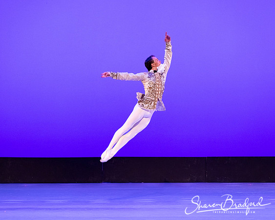 TBT Sleeping Beauty Pas pc Sharen Bradford-1557