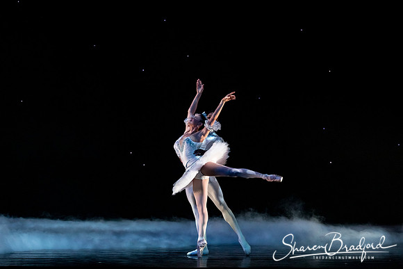 Nutcracker matinee pc Sharen Bradford-5009