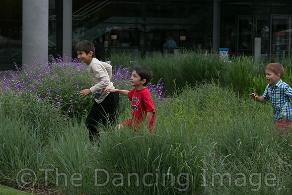 MJS_5248