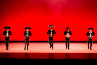 Mosaic Dance Project-0317