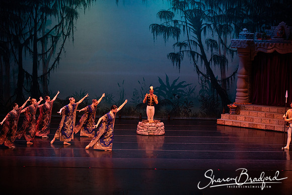 TDC La Bayadere pc Sharen Bradford-2399