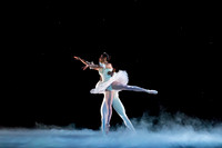 ASFB Nutcracker pc Sharen Bradford-0038