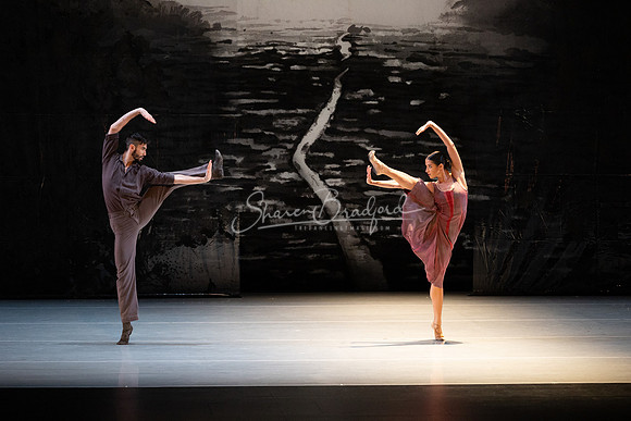 BWDD Wayfarers Song 11-15-24 pc Sharen Bradford-2897