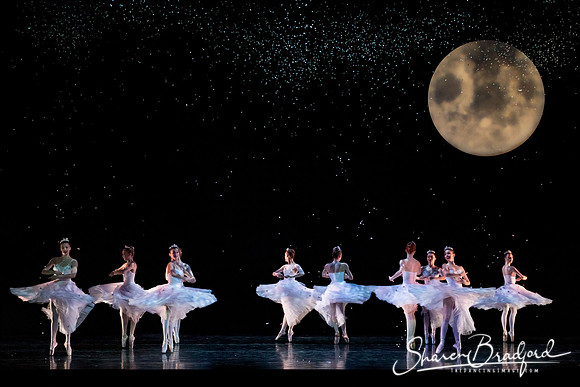 Nutcracker matinee pc Sharen Bradford-5210