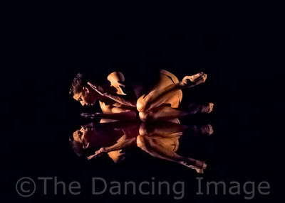 Echoes of Narcissus pc Sharen Bradford-0613