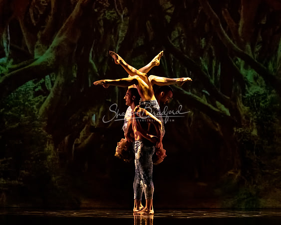 MOMIX Alice pc Sharen Bradford-0972