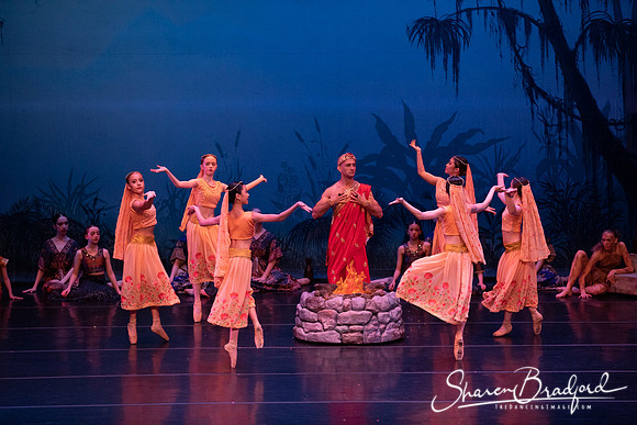 TDC La Bayadere pc Sharen Bradford-2450
