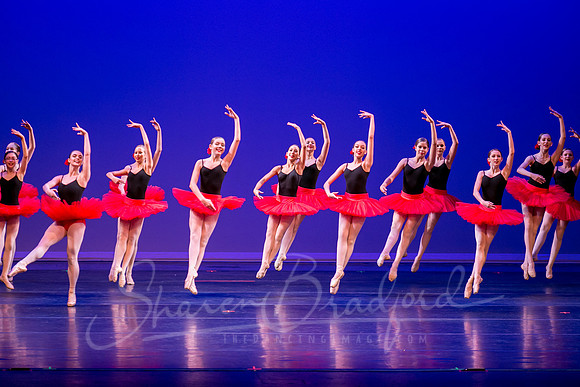 Paquita-0135