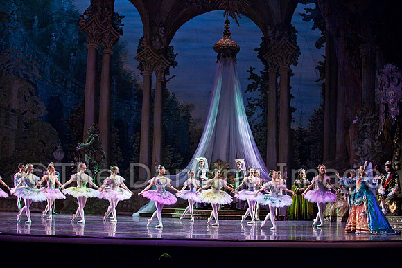 TB Sleeping Beauty Wed.-0091