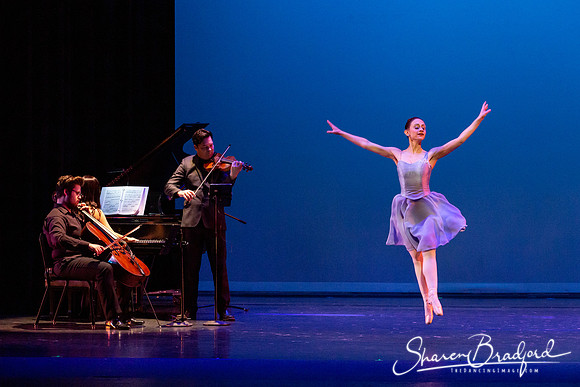 Trio for Six pc Sharen Bradford-0910