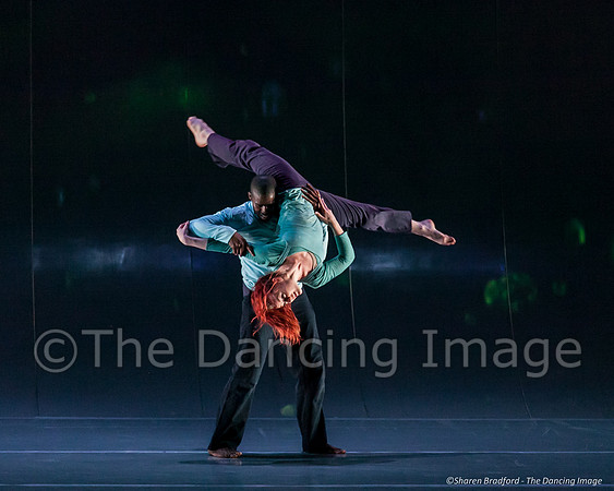 Motionhouse SCATTERED-0725