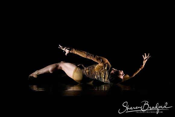 ASFB Beautiful Decay pc Sharen Bradford-2247