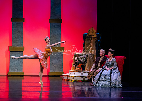 Ballet NTX Sleeping Beauty pc Sharen Bradford-0170