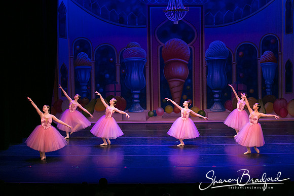 Waltz of the Flowers pc Sharen Bradford-1798