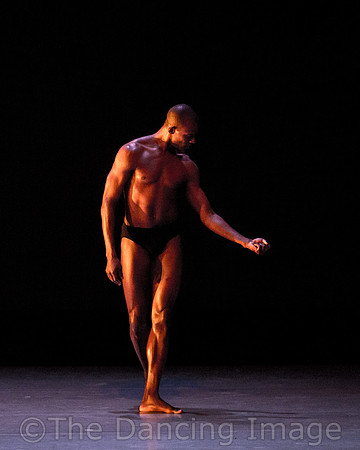 Alvin Ailey ADT-2262