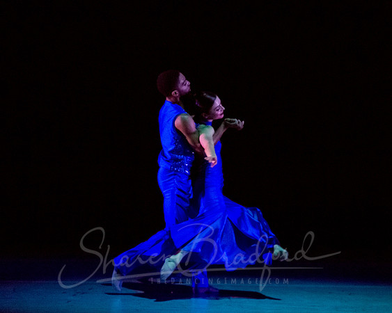 Following Echoes - pc Sharen Bradford-3472