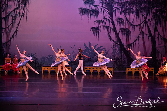 TDC La Bayadere pc Sharen Bradford-3117