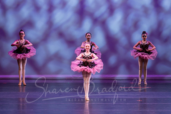 Flower Variation-0940