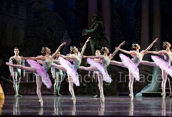 TB Sleeping Beauty Wed.-0046
